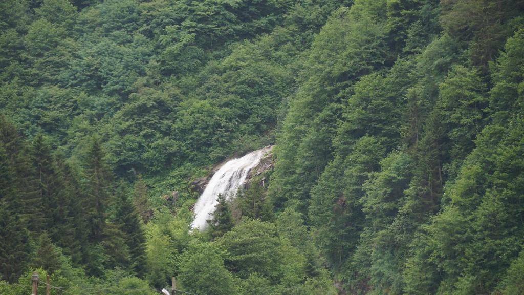 Ayder Resort Hotel Rize Esterno foto