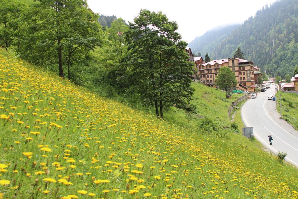 Ayder Resort Hotel Rize Esterno foto