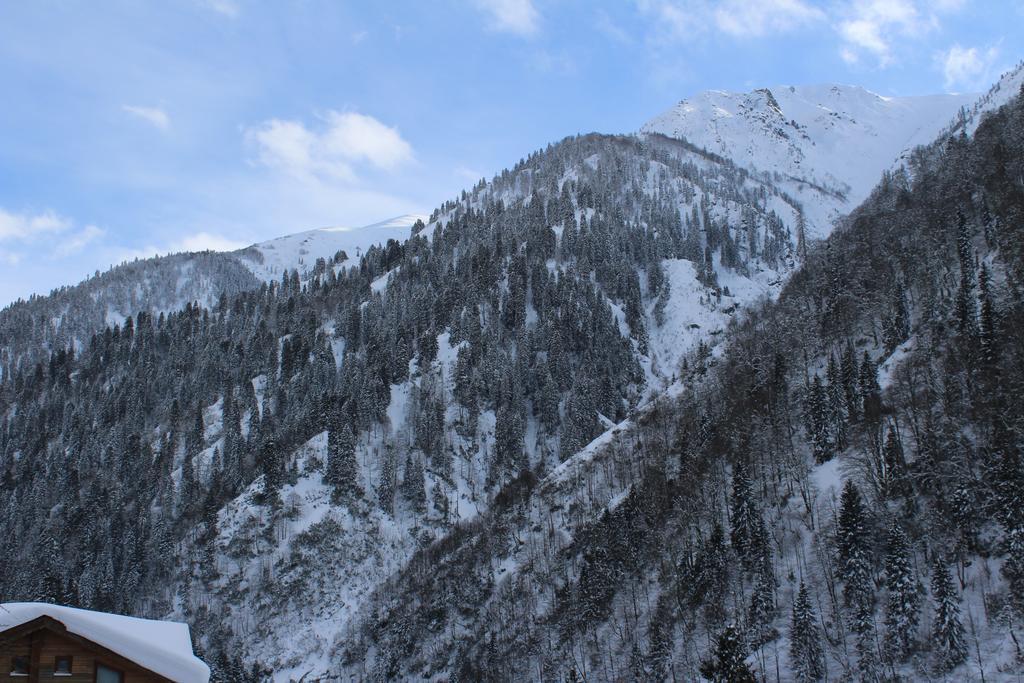 Ayder Resort Hotel Rize Esterno foto